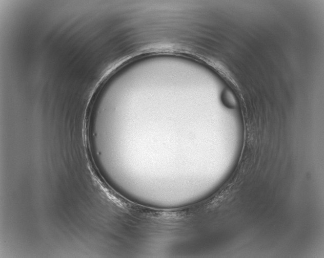 X0000064050839200602171708