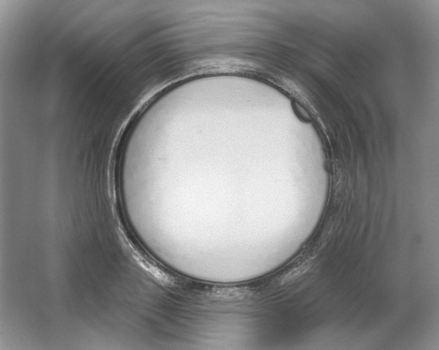 X0000064050843200602171708
