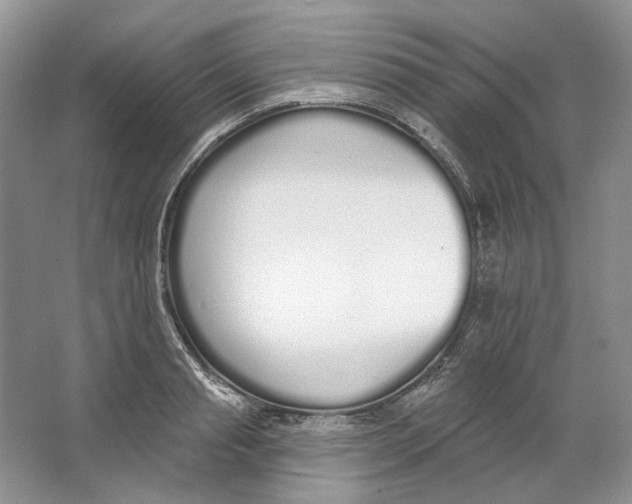 X0000064050845200602171708