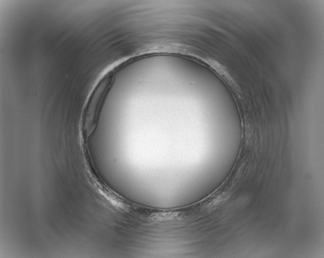 X0000064050846200602171708