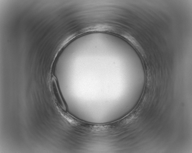 X0000064050850200602171708