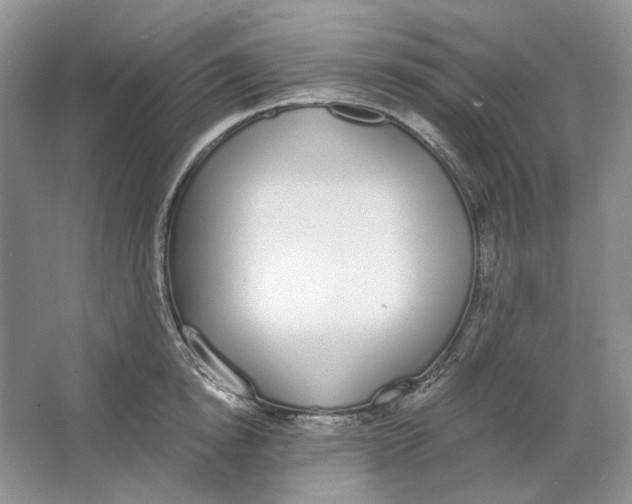 X0000064050854200602171709