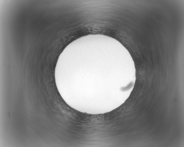 X0000064050865200602171708
