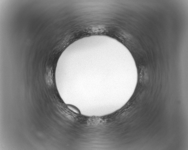 X0000064050866200602171708