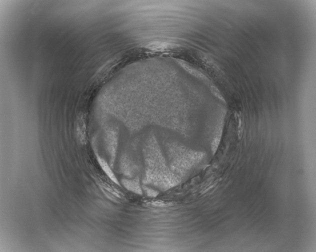 X0000064050868200602171708