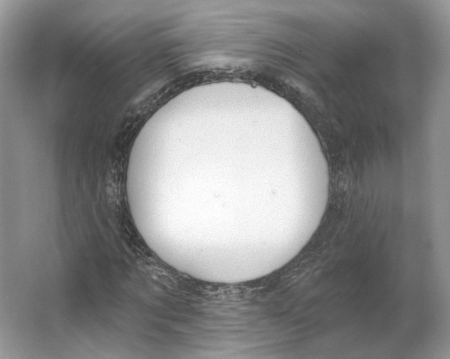 X0000064050869200602171708