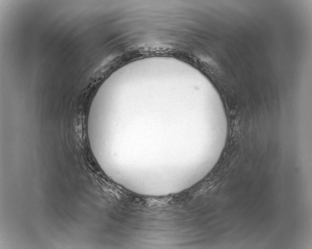 X0000064050870200602171708