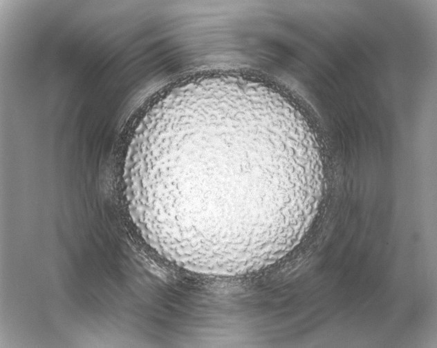 X0000064050874200602171708