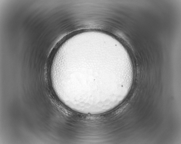 X0000064050875200602171708