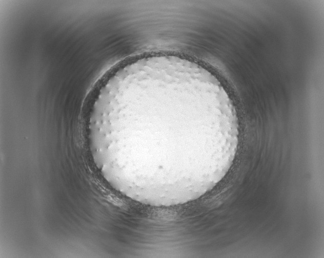 X0000064050878200602171708