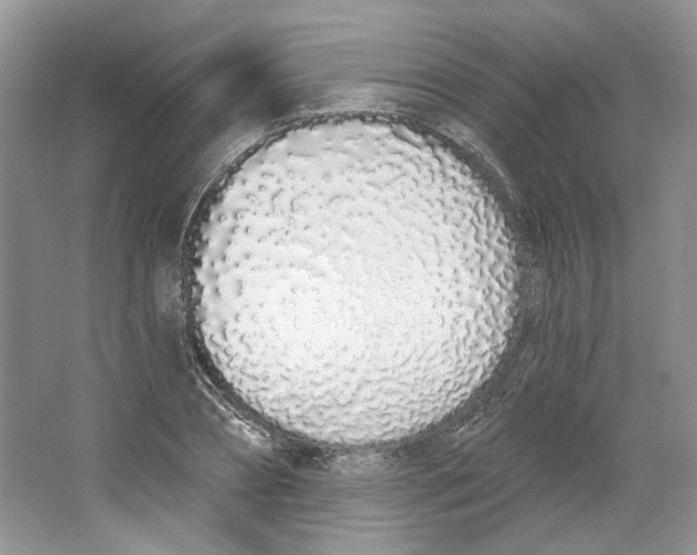 X0000064050882200602171708