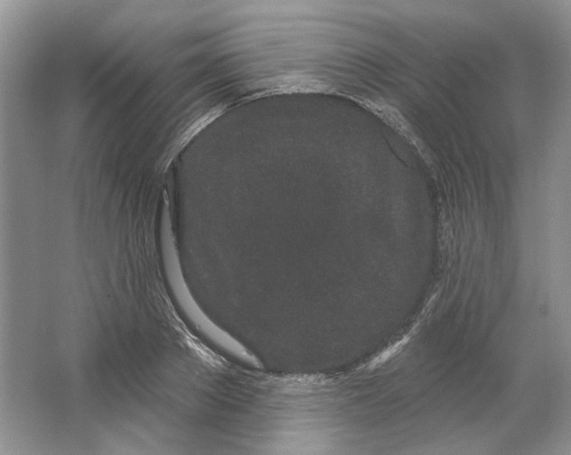 X0000064050889200602171707