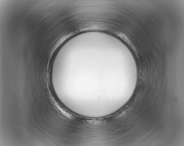 X0000064050890200602171707