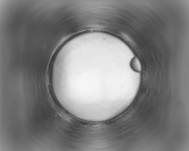 X0000064050891200602171707