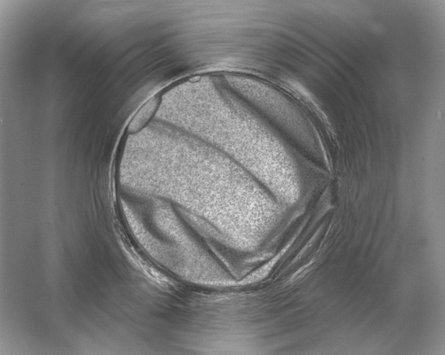 X0000064050892200602171707