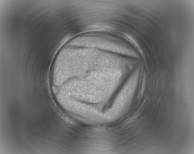 X0000064050899200602171707