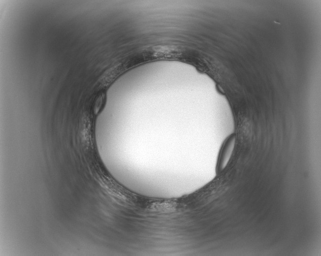 X0000064050914200602171706
