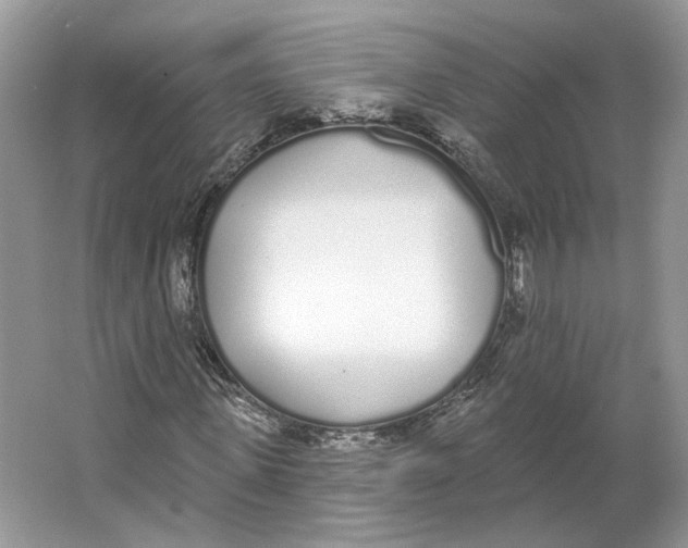 X0000064050915200602171706