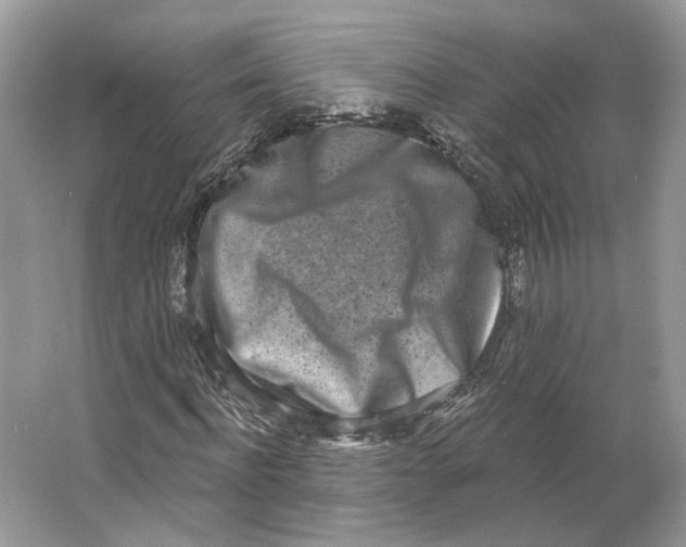 X0000064050916200602171706