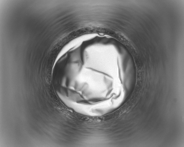 X0000064050919200602171706