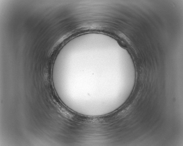 X0000064050922200602171706