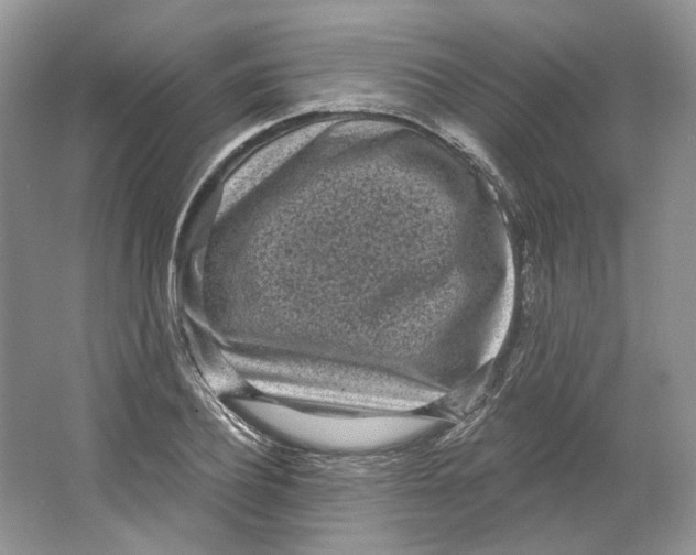 X0000064050932200602171707