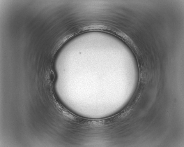 X0000064050937200602171707