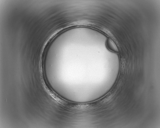 X0000064050939200602171707