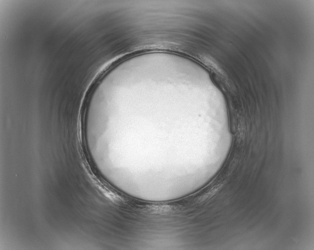 X0000064050940200602171707