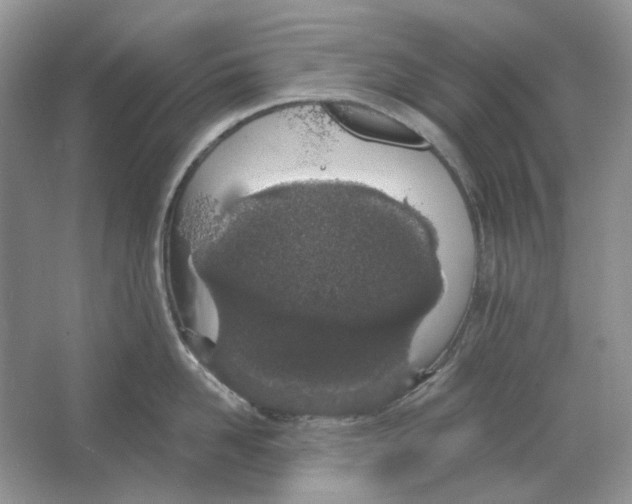X0000064050958200602171707