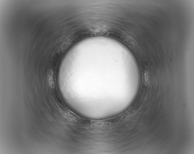 X0000064050963200602171706