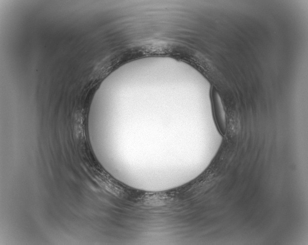 X0000064050964200602171706