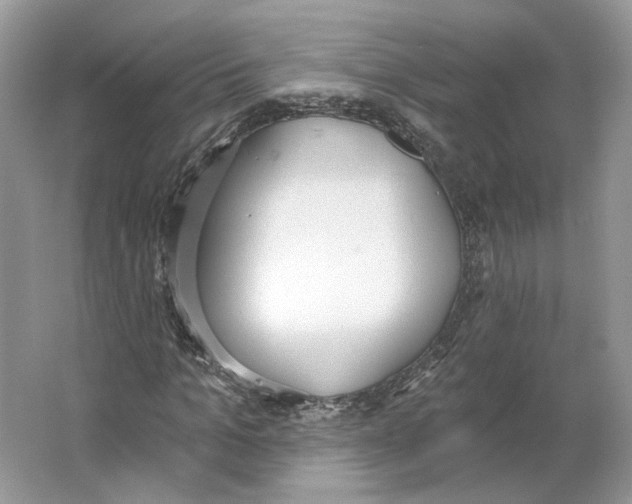 X0000064050965200602171706