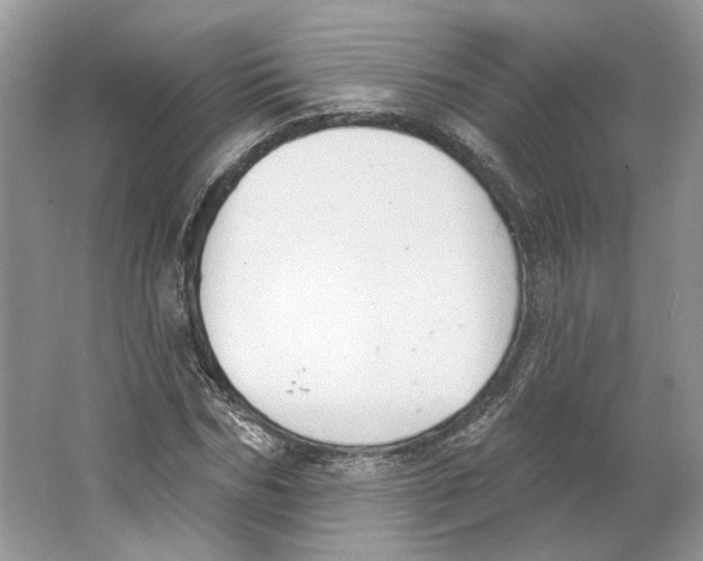 X0000064050970200602171706