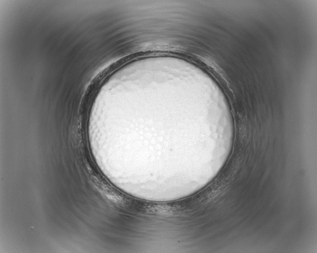 X0000064050971200602171706