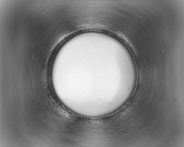 X0000064050975200602171706