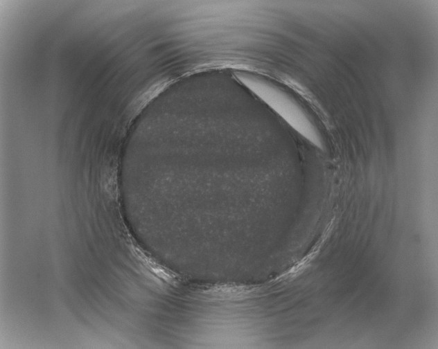 X0000064050977200602171706