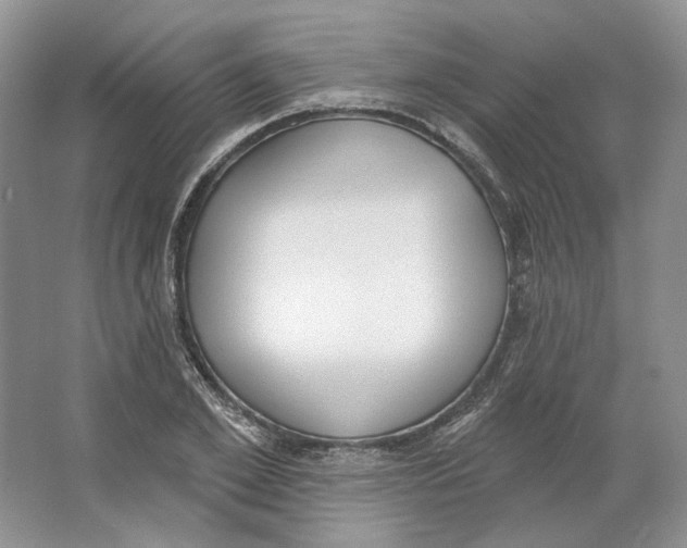 X0000064050981200602171706