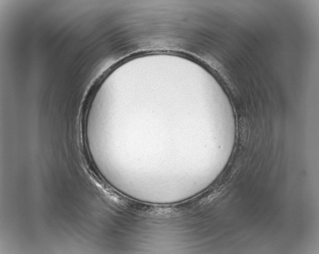 X0000064050982200602171706