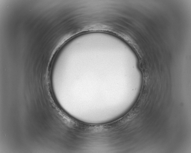 X0000064050990200602171706