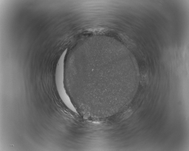 X0000064051010200602171705