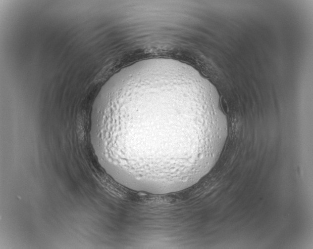 X0000064051012200602171705