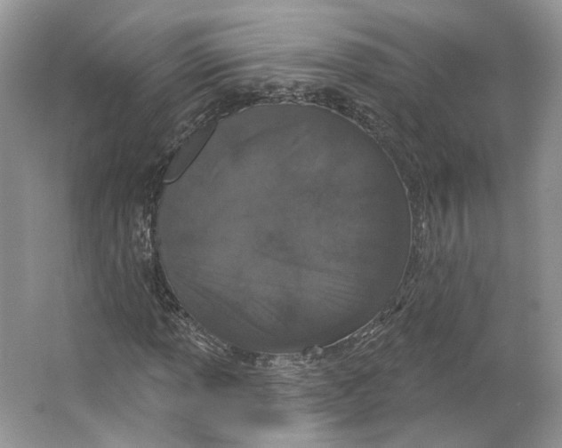 X0000064051013200602171705