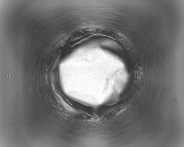 X0000064051014200602171705