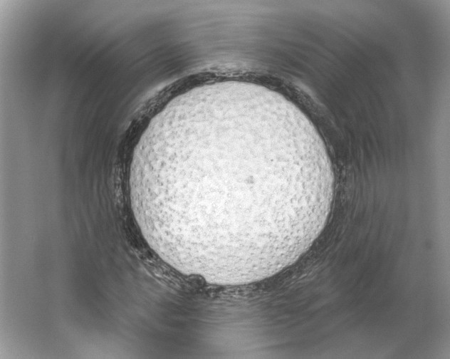 X0000064051016200602171705