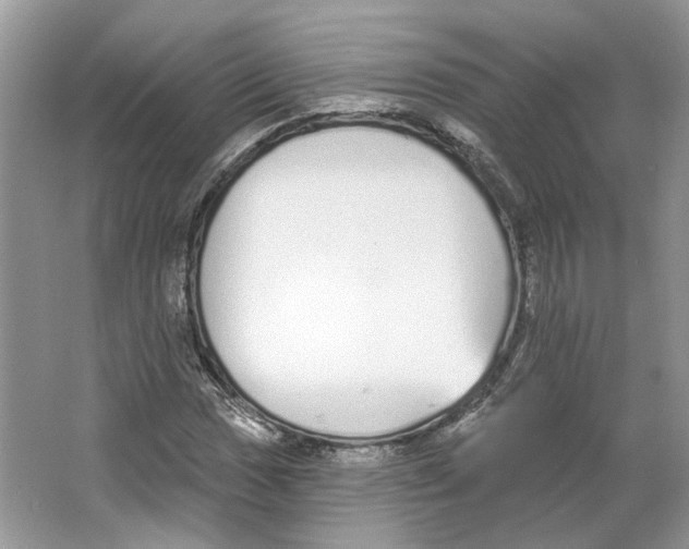 X0000064051017200602171705