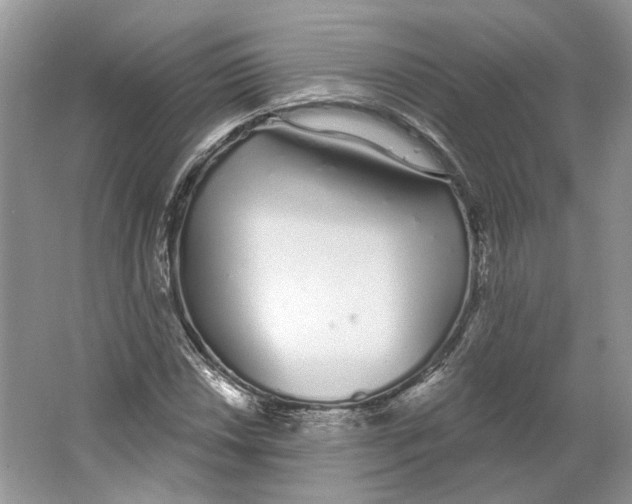 X0000064051018200602171705