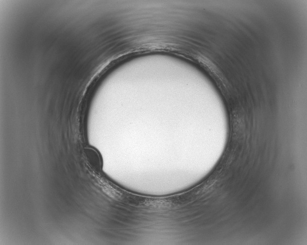 X0000064051023200602171705