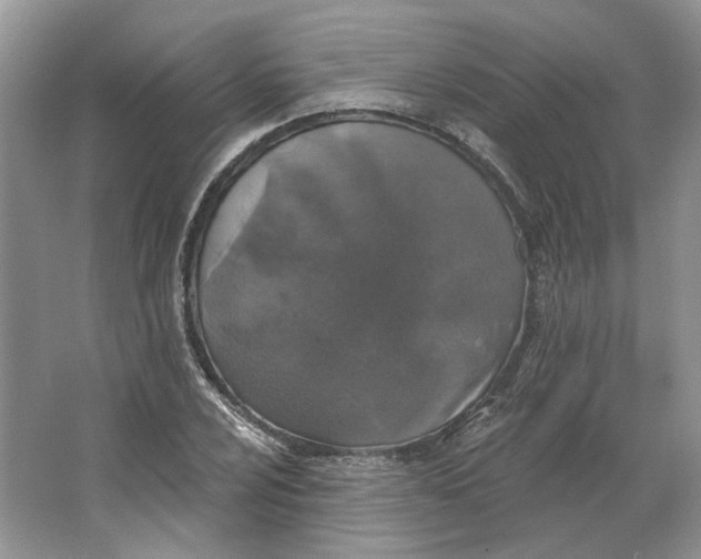 X0000064051024200602171705