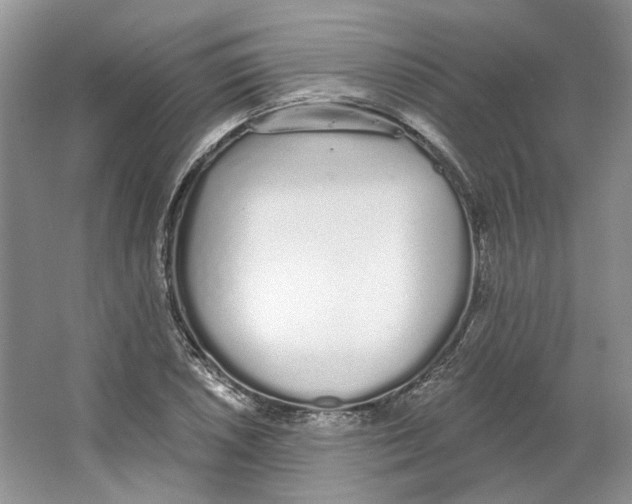 X0000064051026200602171705